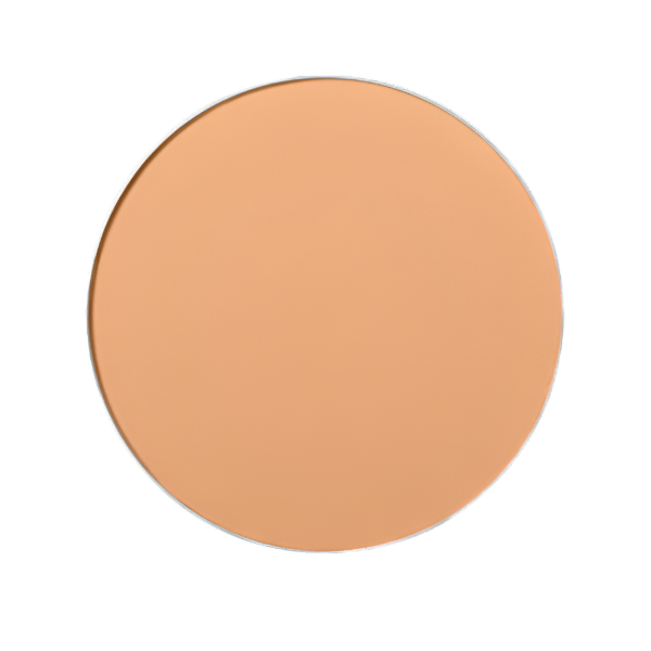 Shiseido UV Protective Compact Foundation Refill | Loolia Closet