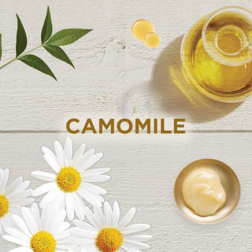 Garnier - Ultra Doux Chamomile Shampoo