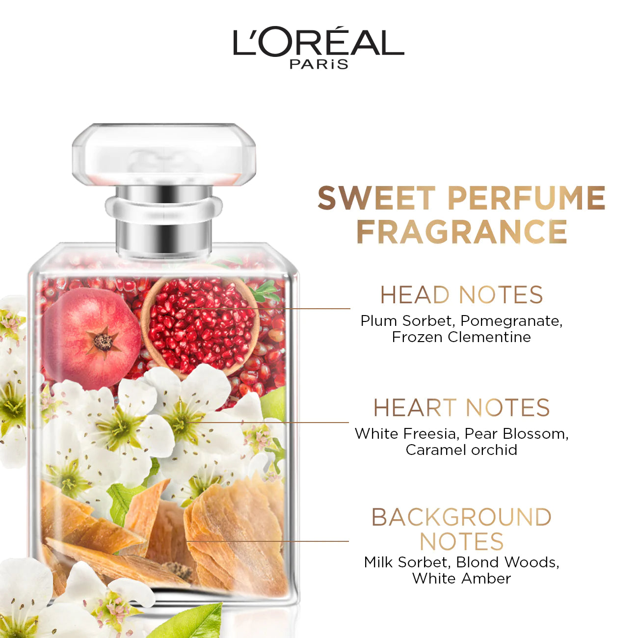 L'Oreal Paris - Elvive Dream Long Shampoo