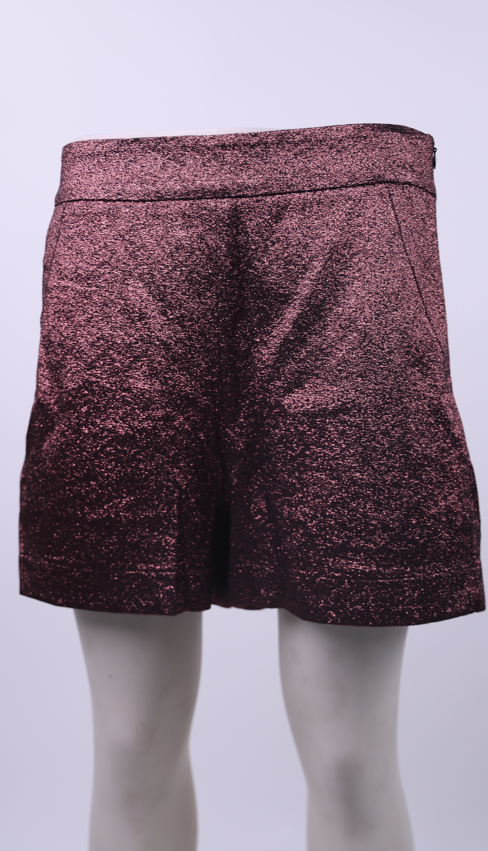 ACCESS Access metallic shorts | Loolia Closet