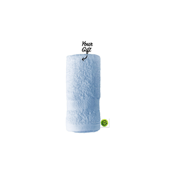 Garnier Fast Clear Blue Face Towels | Loolia Closet